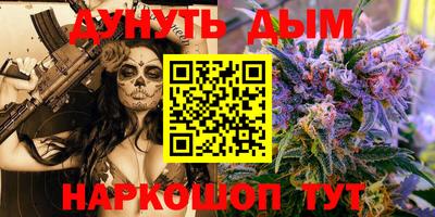 крисы Шелехов