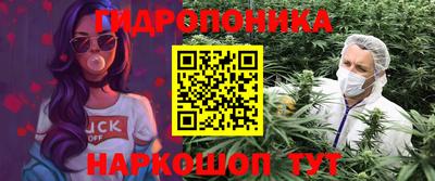 крисы Шелехов