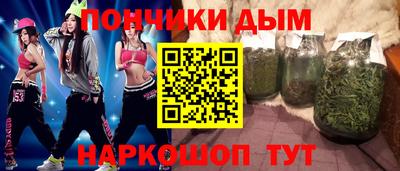 крисы Шелехов