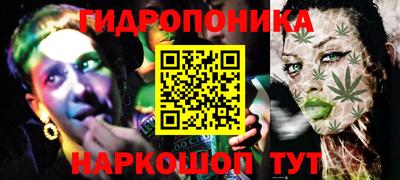 крисы Шелехов