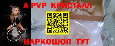 крисы Шелехов