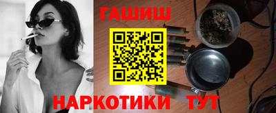 крисы Шелехов
