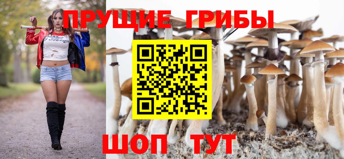 Галлюциногенные грибы мухоморы Ессентуки