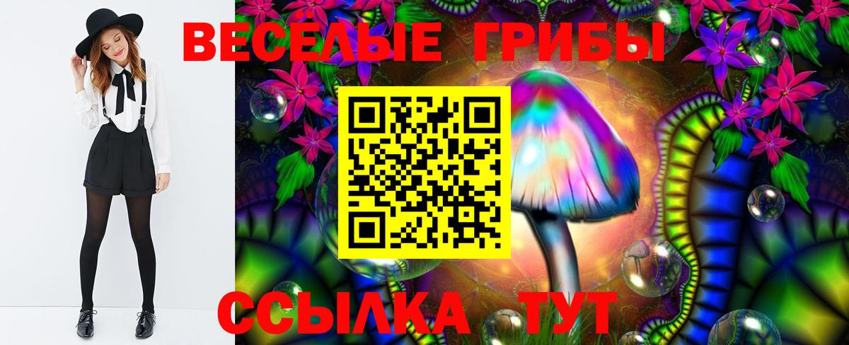 Псилоцибиновые грибы GOLDEN TEACHER  Вход с VPN  Ессентуки 